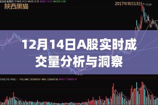 12月14日A股实时成交量深度解析与洞察