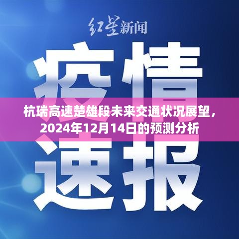 杭瑞高速楚雄段未来交通展望，2024年预测分析报告