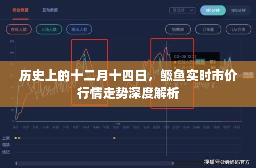 十二月十四日鳜鱼实时行情深度解析与走势预测