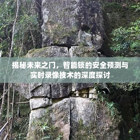 智能锁未来之门，安全预测与实时录像技术深度探讨