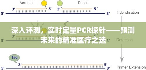 实时定量PCR探针，精准医疗的未来之选深度评测