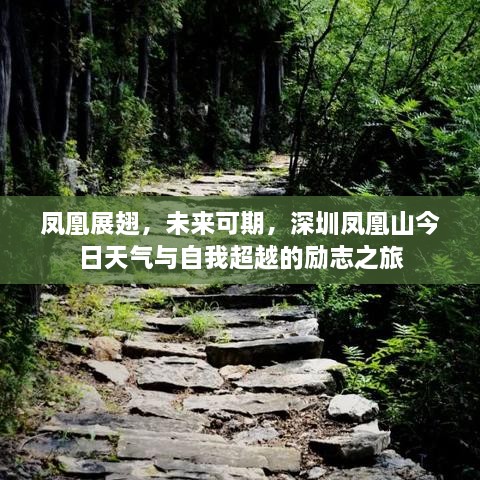 深圳凤凰山展翅之旅，励志超越与天气探索