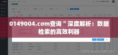 0149004.cσm查询＂深度解析：数据检索的高效利器