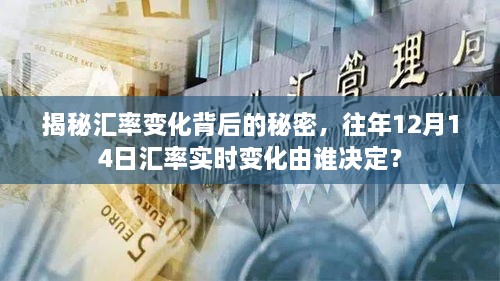 揭秘汇率变化背后的秘密，揭秘往年12月14日汇率实时变化的决定因素