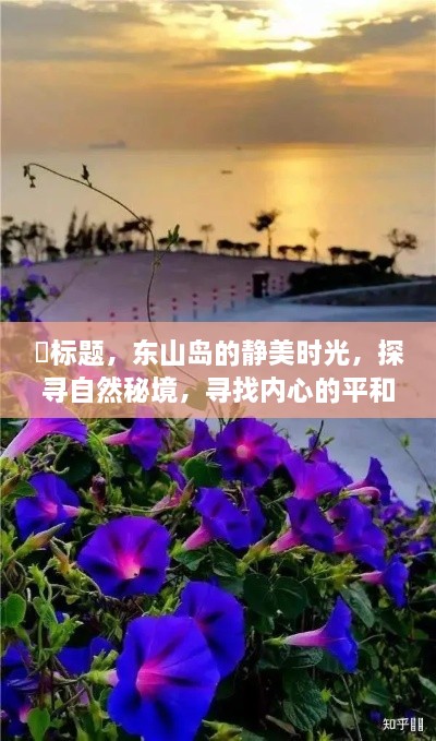 东山岛的静美时光，探寻自然秘境，寻觅内心平和与喜悦