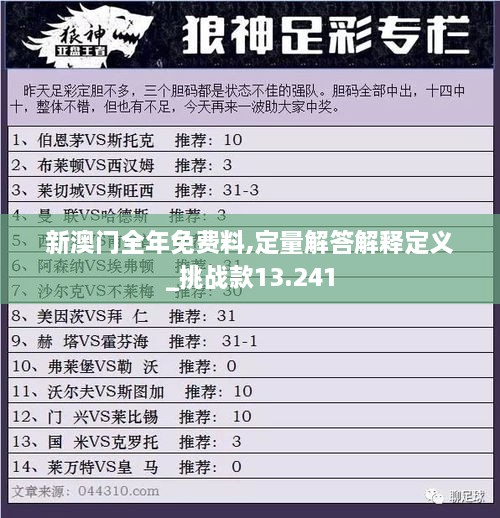 新澳门全年免费料,定量解答解释定义_挑战款13.241