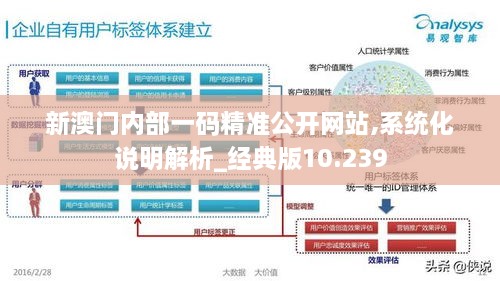 新澳门内部一码精准公开网站,系统化说明解析_经典版10.239