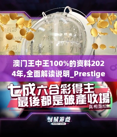 澳门王中王100%的资料2024年,全面解读说明_Prestige2.377