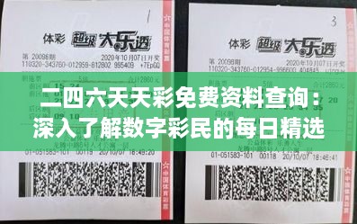 二四六天天彩免费资料查询：深入了解数字彩民的每日精选免费资源与深度分析