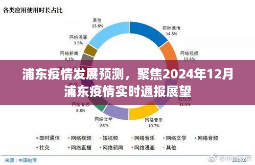 浦东疫情发展预测及实时通报展望，聚焦至2024年12月