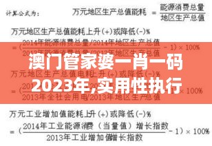 澳门管家婆一肖一码2023年,实用性执行策略讲解_7DM3.366