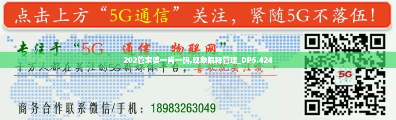 202管家婆一肖一码,现象解释管理_DP5.424