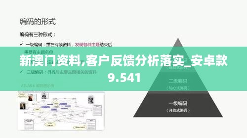 新澳门资料,客户反馈分析落实_安卓款9.541