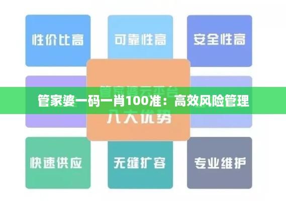 管家婆一码一肖100准：高效风险管理