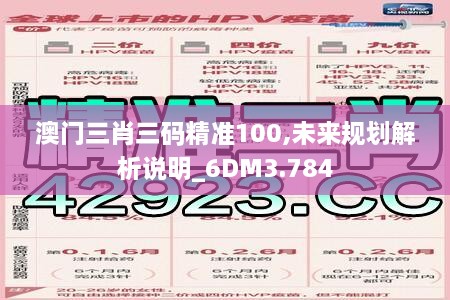 澳门三肖三码精准100,未来规划解析说明_6DM3.784