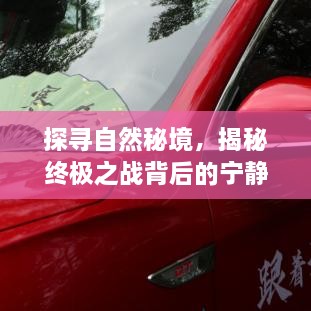 揭秘自然秘境，终极之战背后的宁静探索之旅