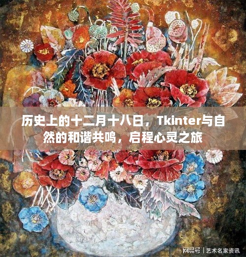 Tkinter与自然和谐共鸣，心灵启程的十二月十八日之旅