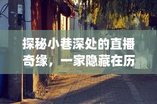 探秘小巷深处的神秘小店，直播奇缘与历史尘埃中的宝藏