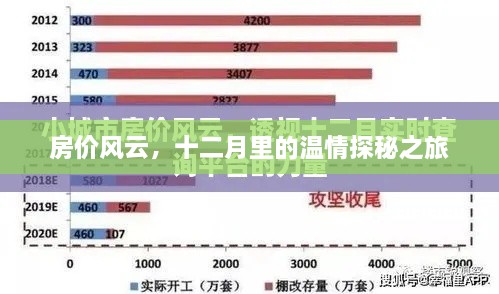 房价风云下的温情探秘之旅，十二月里的故事