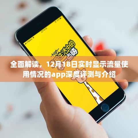 全面解读，实时流量监控App深度评测与介绍