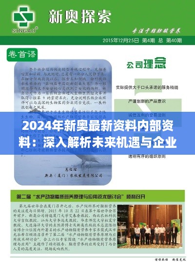 2024年新奥最新资料内部资料：深入解析未来机遇与企业战略规划的权威指南