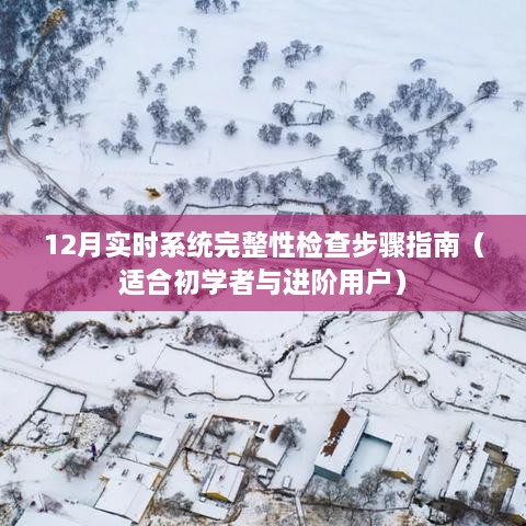 12月实时系统完整性检查全攻略，初学者与进阶用户必备指南