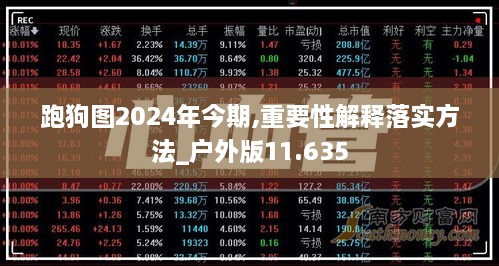 2024年12月19日 第47页