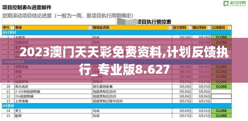 2023澳门天天彩免费资料,计划反馈执行_专业版8.627