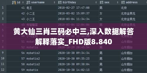 黄大仙三肖三码必中三,深入数据解答解释落实_FHD版8.840