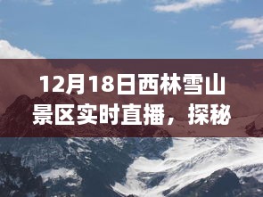 雪域仙境探秘，西林雪山景区实时直播，领略自然之美