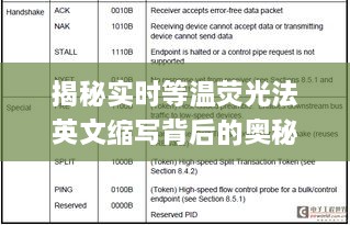 实时等温荧光法及其最新应用与趋势揭秘，12月18日深度解析与奥秘探寻