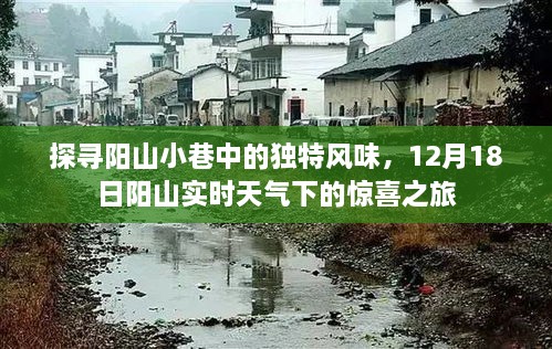 阳山小巷美食探秘，实时天气下的惊喜之旅，12月18日体验分享