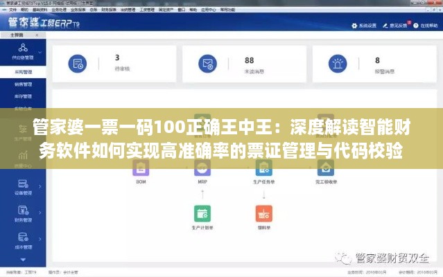 管家婆一票一码100正确王中王：深度解读智能财务软件如何实现高准确率的票证管理与代码校验