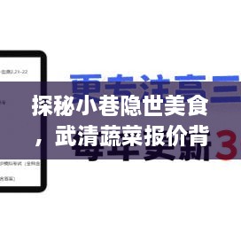 探秘小巷美食与武清蔬菜报价背后的故事，实时揭秘之旅，2024年12月18日