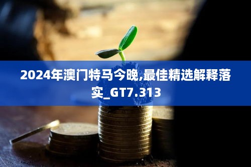 2024年澳门特马今晚,最佳精选解释落实_GT7.313