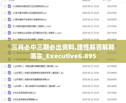 三肖必中三期必出资料,理性解答解释落实_Executive6.895