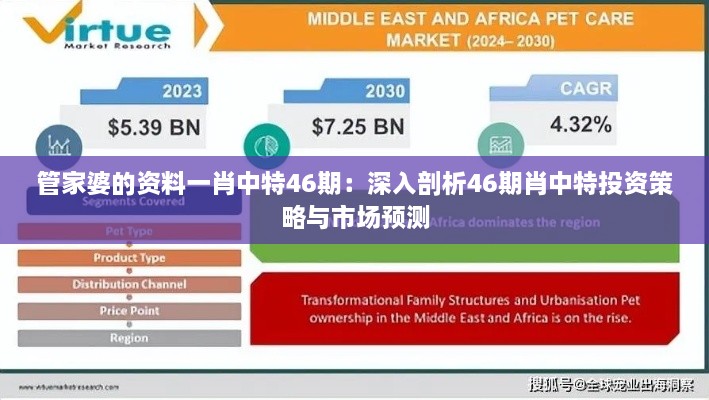 管家婆的资料一肖中特46期：深入剖析46期肖中特投资策略与市场预测