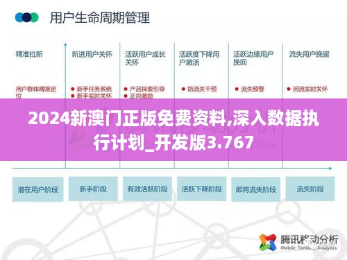 2024新澳门正版免费资料,深入数据执行计划_开发版3.767