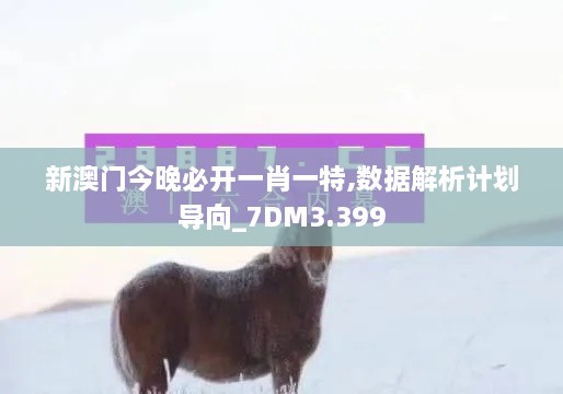 新澳门今晚必开一肖一特,数据解析计划导向_7DM3.399