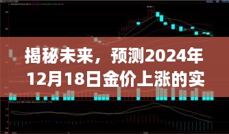 2024年12月19日 第24页