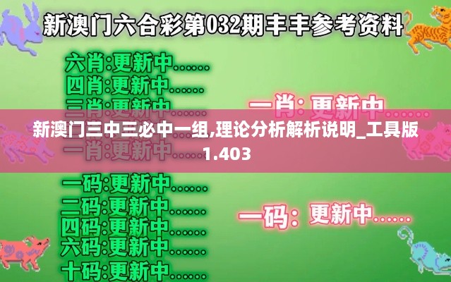 新澳门三中三必中一组,理论分析解析说明_工具版1.403