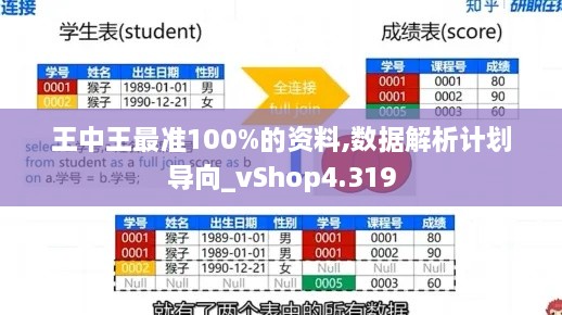 王中王最准100%的资料,数据解析计划导向_vShop4.319