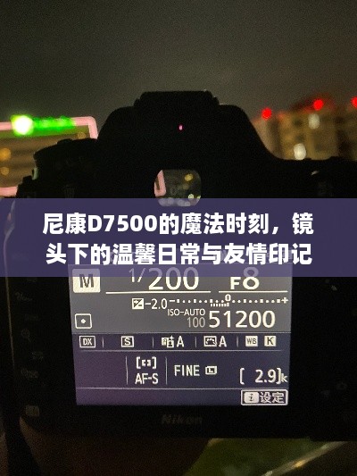 尼康D7500魔法时刻，镜头下的温馨与友情画卷