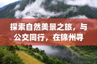 锦州公交之旅，探寻自然美景，寻觅内心宁静