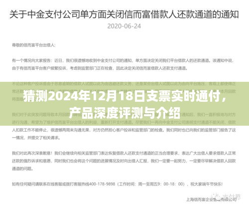 产品深度评测与介绍，支票实时通付系统预测报告（2024年）