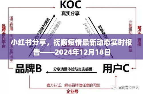 小红书分享，抚顺疫情最新动态实时报告（2024年12月18日）