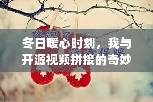 冬日暖心时刻，我与视频拼接的开源奇妙之旅