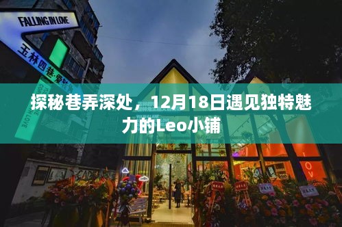 探秘巷弄深处的独特魅力，Leo小铺的冬日故事（12月18日）