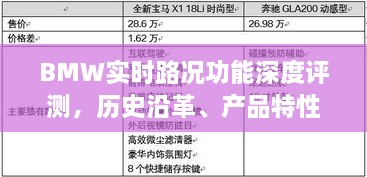 BMW实时路况功能全面解析，历史沿革、产品特性与用户体验评测