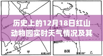 红山动物园历史天气分析，深入解读十二月十八日的天气影响